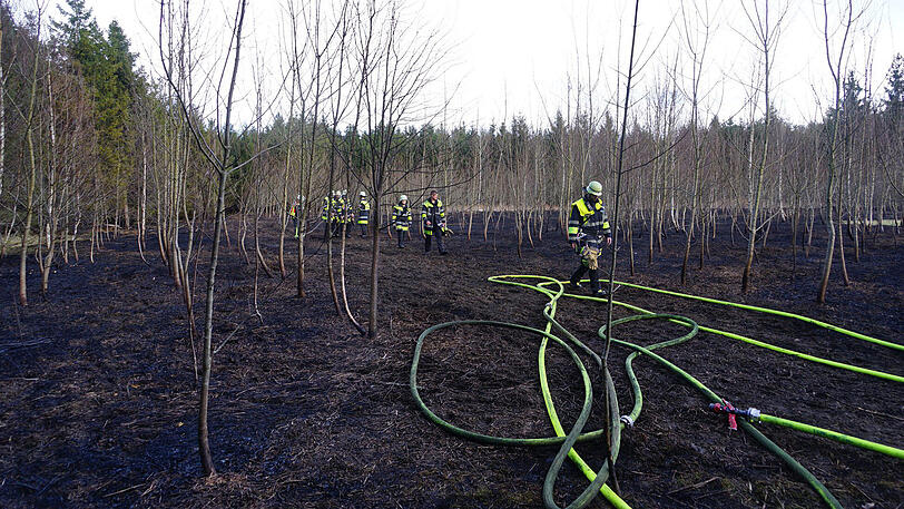 Auch am Mittwoch ist wieder Reitgras in Brand geraten - was nach Angaben der Feuerwehr nicht einfach so passiert.