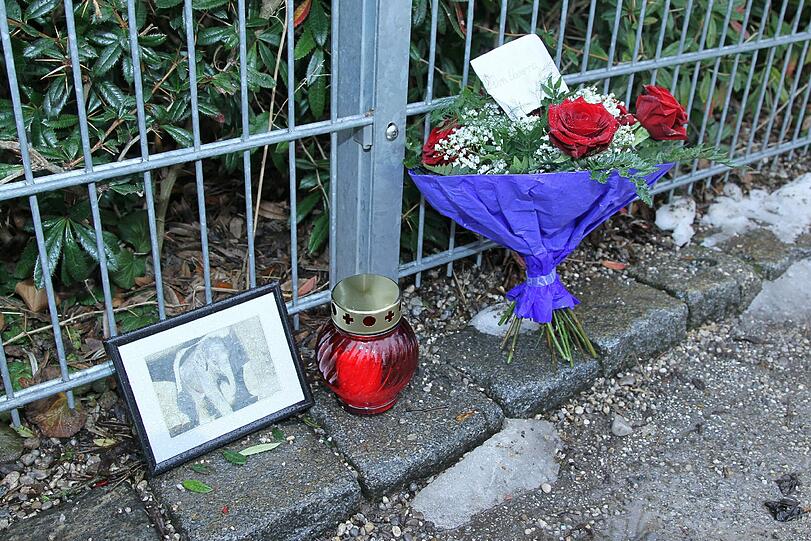 Blumenstrauß, ein Grablicht und Lolas Foto: So verabschiedet sich ein Mädchen von ihrem Liebling.