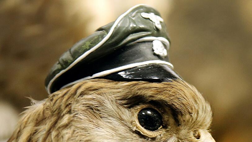 Diesem ausgestopften Falken hat der 51-Jährige eine Totenkopf-SS-Mütze in Miniaturausgabe ausgesetzt... Diesem ausgestopften Falken hat der 51-Jährige eine Totenkopf-SS-Mütze in Miniaturausgabe ausgesetzt...