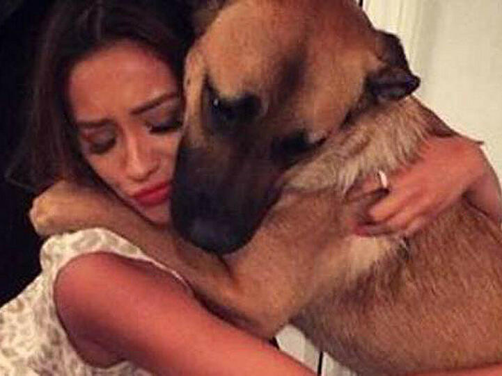 Shay Mitchell liebt ihren Hund