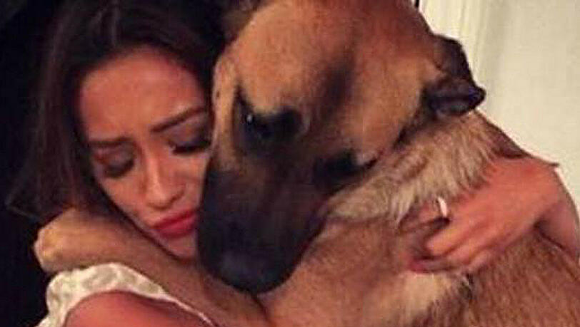 Shay Mitchell liebt ihren Hund Shay Mitchell liebt ihren Hund