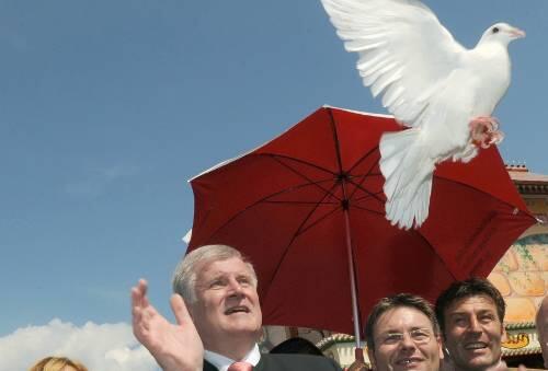In Straubing beim Gäubodenfest ließ Seehofer erst eine Friedenstaube steigen - und drosch dann weiter fleißig auf die FDP ein.