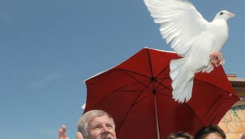 In Straubing beim Gäubodenfest ließ Seehofer erst eine Friedenstaube steigen - und drosch dann weiter fleißig auf die FDP ein. In Straubing beim Gäubodenfest ließ Seehofer erst eine Friedenstaube steigen - und drosch dann weiter fleißig auf die FDP ein.
