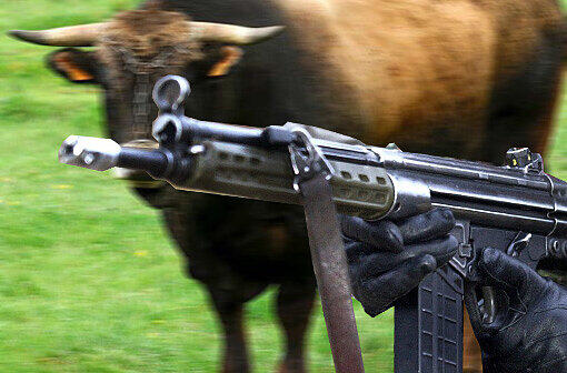 Mit einem G3-Gewehr wie diesem hat die Münchner Polizei einen Stier erlegt