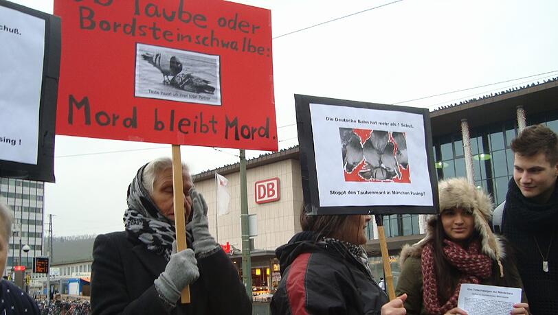 "Die Deutsche Bahn hat mehr als einen Schuss": So protestieren Tierschützer in Würzburg gegen das Taubentöten in Pasing. "Die Deutsche Bahn hat mehr als einen Schuss": So protestieren Tierschützer in Würzburg gegen das Taubentöten in Pasing.