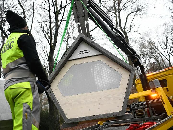 Ein "Ulmer Nest" wird am Alten Friedhof in Ulm aufgestellt.