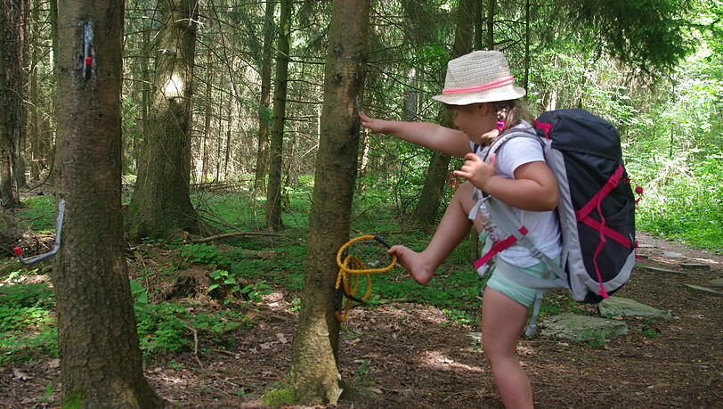 Rother Wanderbuch ErlebnisWandern mit Kindern Fränkisches Seenland. Rother Wanderbuch ErlebnisWandern mit Kindern Fränkisches Seenland.