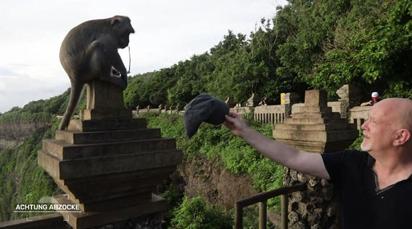 "Haben die Tiere hier eine Seeschwäche?", scherzt Peter Giesel. Ein Affe hat soeben seine Brille getauscht. Nun bietet Giesel seine Kappe zum Tausch an. "Haben die Tiere hier eine Seeschwäche?", scherzt Peter Giesel. Ein Affe hat soeben seine Brille getauscht. Nun bietet Giesel seine Kappe zum Tausch an.