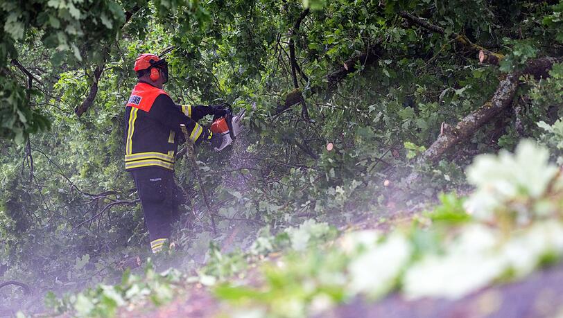 Feuerwehrleute räumten die Bäume schnell von den Autobahnen. (Symbolbild) Feuerwehrleute räumten die Bäume schnell von den Autobahnen. (Symbolbild)