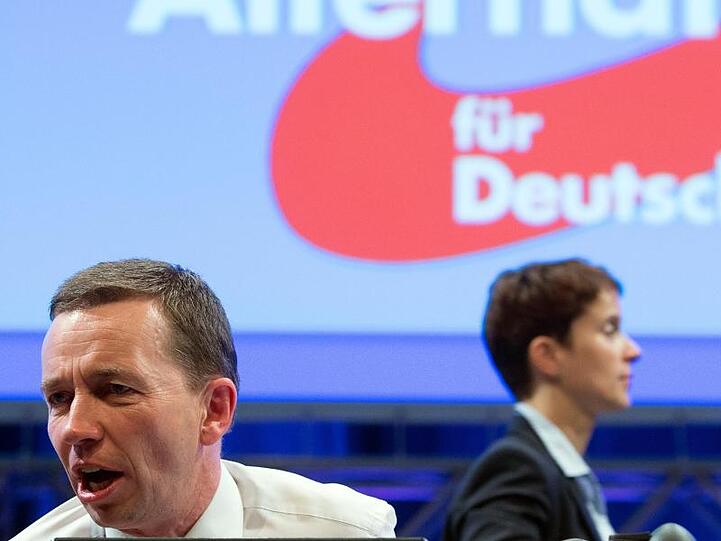 Beide nicht mehr dabei: Der zu dieser Zeit noch amtierende AfD-Chef Bernd Lucke und seine damalige Co-Vorsitzende Frauke Petry.