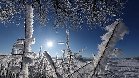 Eine Landschaft in Weiß - für viele bleibt die ein weihnachtlicher Traum.