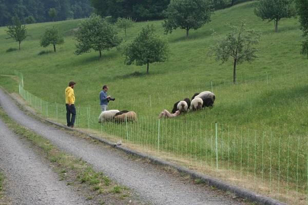 Bilder vom Making- of: Die Aufnahmen für den Jungbauernkalender 2013 in Bayern fanden im Mai statt