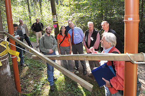 Mit Gerüsten zeigen Umweltschützer, wie hoch der Damm wird, auf dem die Trasse durch den Wald bei Buchenbühl geführt wird.
