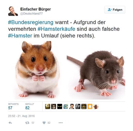 So amüsieren sich Twitter-User über die Hamsterkäufe im Konzept zur Zivilverteidigung.