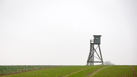 Ein Hochsitz auf einem Feld. Foto: Friso Gentsch/dpa/Symbolbild