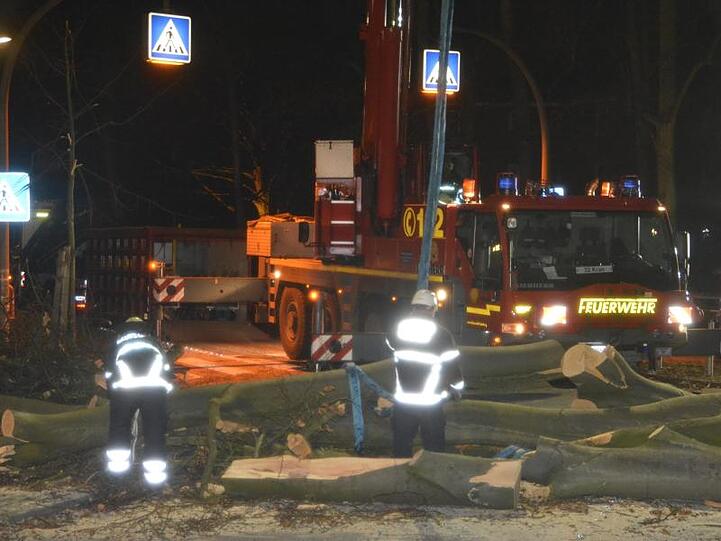 Feuerwehrleute beseitigen zwei umgefallene Bäume in Hamburg. Das Sturmtief "Zeetje" hat die Einsatzkräfte in Teilen Norddeutschlands am Neujahrsabend auf Trab gehalten.