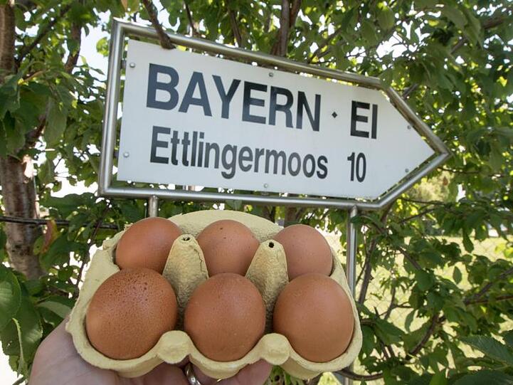 Eier werden vor ein Schild mit der Aufschrift "Bayern-Ei" nahe dem Betriebsgelände der Firma gehalten. Foto: Armin Weigel/Archivbild
