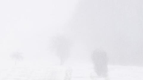 Spaziergang bei Schneesturm: Dieser Mann f&uuml;hrt seinen Hund im nieders&auml;chsischen Ingeln-Oesselse aus.