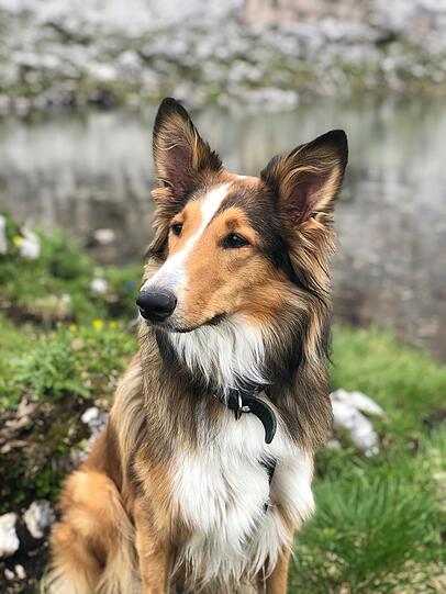 Kira