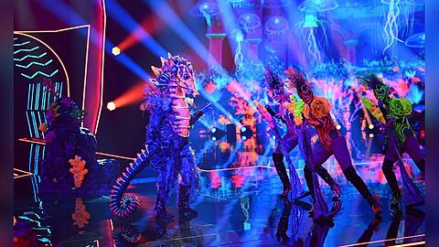 Premiere bei "The Masked Singer": Unter dem Seepferdchen-Kostüm steckte Anna Loos. Damit war zum ersten Mal ein Ehepaar Teil der Rate-Show.