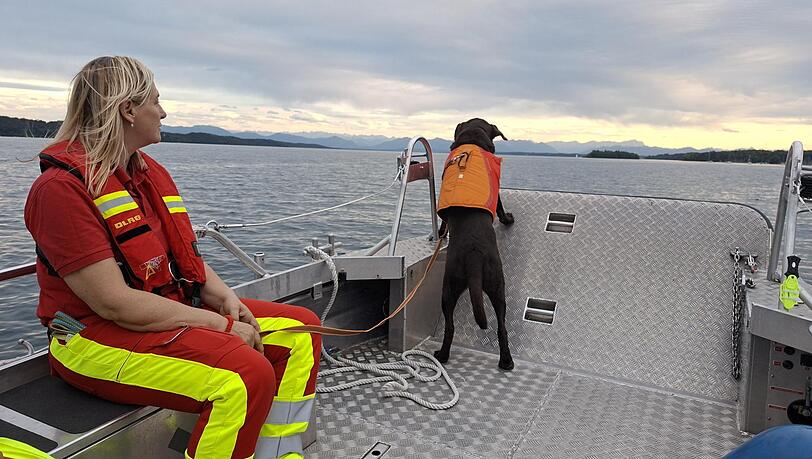Labrador Lynes und seine Besitzerin Silvia Ruhdorfer werden von ihrem Bootsführer auf den Starnberger See gefahren. Lynes soll dort den im Wasser versenkten Geruchsträger erschnüffeln. Labrador Lynes und seine Besitzerin Silvia Ruhdorfer werden von ihrem Bootsführer auf den Starnberger See gefahren. Lynes soll dort den im Wasser versenkten Geruchsträger erschnüffeln.