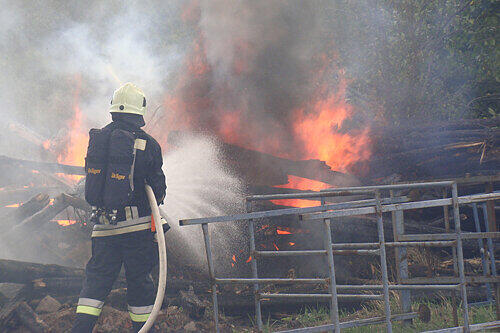 Durch die Trockenheit der letzten Wochen ging eine Wiese in Riedersdorf in Flammen auf.