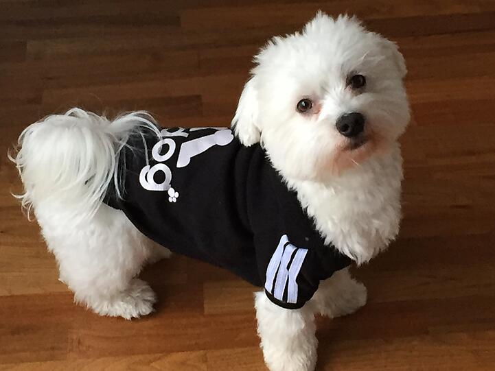 Meilo