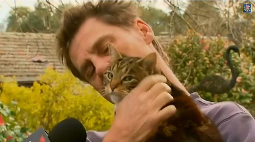 Die Katze "Sally" rettete ihren Besitzer Craig Jeeves mit Schreien vor dem Feuertod.