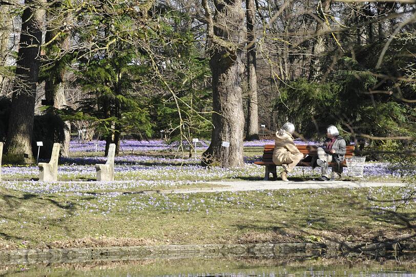 Münchner Glück: Frühlingsanfang im Bontanischen Garten