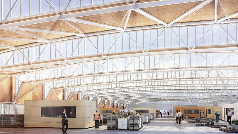 Außen zackig, innen hell: So soll die neue Großmarkthalle aussehen. Außen zackig, innen hell: So soll die neue Großmarkthalle aussehen.