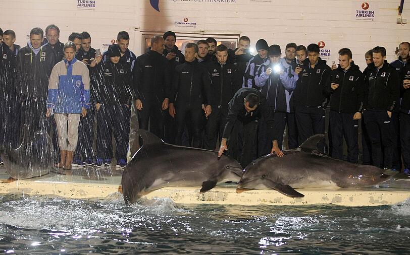 Für die Löwen ging's am Mittwoch noch tierisch zu: Im Delfinarium durften sie mit Flipper & Co. eine Runde schwimmen.