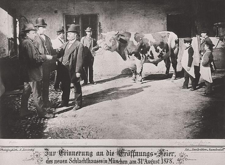 Ein Bild vom Tag der Eröffnung des Viehhofs 1878.
