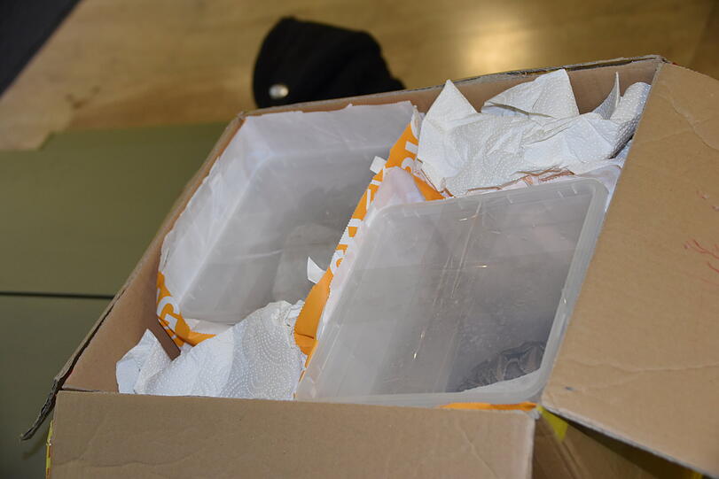 Die Tiere waren mehr schlecht als recht verpackt.