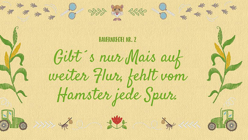 Streit um die "neuen Bauernregeln" von Umweltministerin Hendricks.