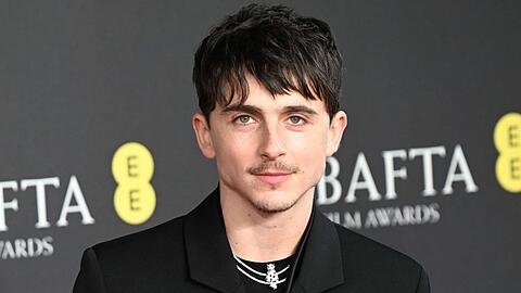 Schwer begehrt in Hollywood: Timothée Chalamet.