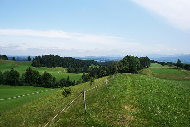 Auf der Tour in Richtung Bad Kohlgrub spaziert man über einen schönen Höhenzug. Auf der Tour in Richtung Bad Kohlgrub spaziert man über einen schönen Höhenzug.