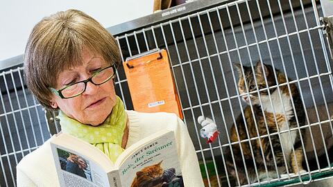 Erika Lemmel liest einer Katze in einem Hamburger Tierheim vor.