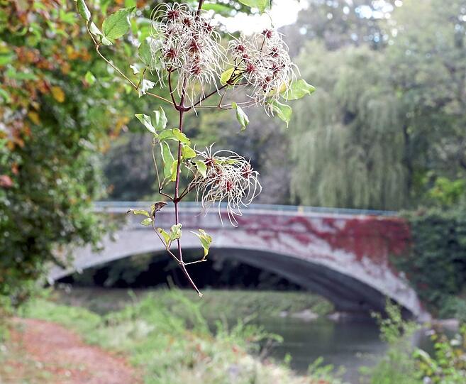 Kaum Menschen sind unterwegs im Norden an der Isar.