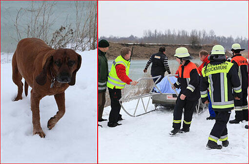 Weil ihr Hund in den Höglinger Weiher eingebrochen war, rannte auch die Besitzerin aufs Eis - und brach ein! Die Bilder der spektakulären Rettungsaktion.