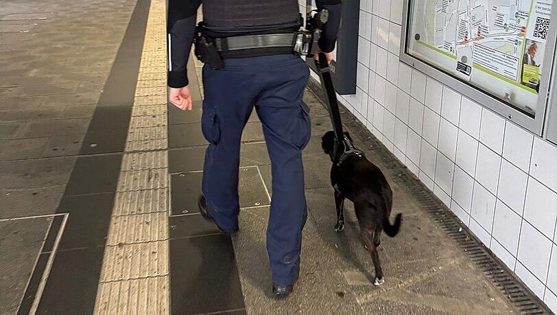Am S-Bahnhof in Pasing hat die Bundespolizei den entlaufenen Hund in Empfang genommen.