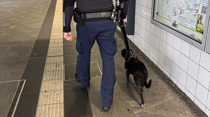 Am S-Bahnhof in Pasing hat die Bundespolizei den entlaufenen Hund in Empfang genommen.