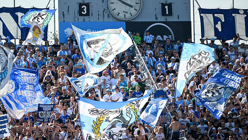 Zwei Löwen-Fans wurden vor dem Heimspiel überfallen.