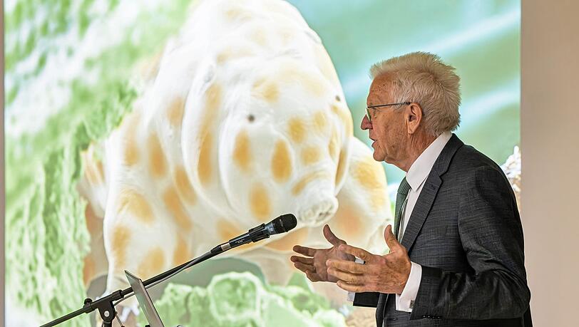 Winzig und doch bärenstark: Die neu entdeckte Bärtierchenart "Ramazzottius kretschmanni".