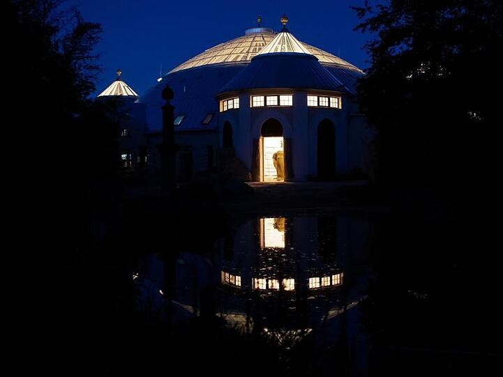 Ein Elefant steht in der Nacht im Tierpark Hellabrunn in seinem Gehege. Foto: Sven Hoppe/dpa/Archivbild