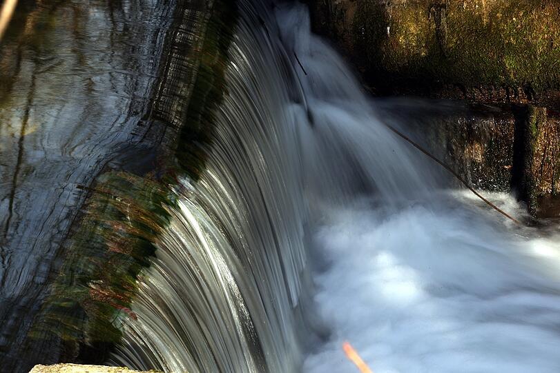 Magisch: der Schwabinger Bach zwischen Ring und Lodenfrey-Park.