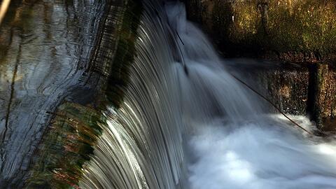 Magisch: der Schwabinger Bach zwischen Ring und Lodenfrey-Park.