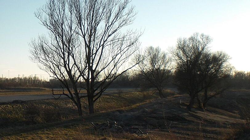 Natur pur im Hüllgraben-Dreieck mit Baumgruppe.