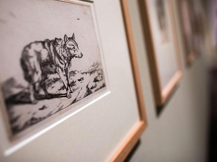 Eine Wolfsdarstellung von Marcus de Bye im Wallraf-Richartz-Museum.