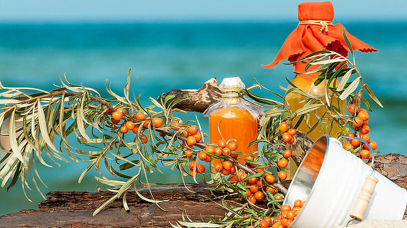 Powerfrucht von der Ostsee: Sanddorn gibt es als Saft, Likör und sogar Bonbons.