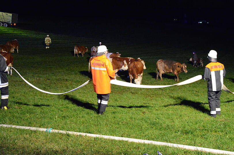 Die Flammen ließen nicht viel übrig - 30 Rinder starben im Feuer. Die Bilder vom Löscheinsatz in Wurmsham.